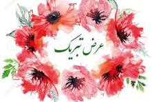 فلش
