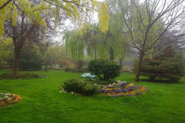 مرکز قلب و عروق شهید رجایی در یک روز بارانی و مه آلود به روایت تصویر