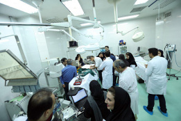 کارگاه مدل های حیوانی بیماری های قلبی