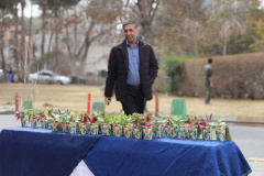 درختکاری فرزندان پرسنل از سوی مهدکودک انستیتو به مناسبت هفته منابع طبیعی