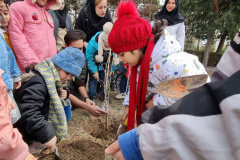 درختکاری فرزندان پرسنل از سوی مهدکودک انستیتو به مناسبت هفته منابع طبیعی