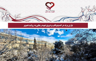 بارش برف در انستیتو قلب و عروق شهید رجایی به روایت تصویر