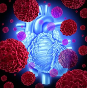 مرکز تحقیقات کاردیوانکولوژی