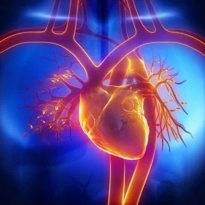 مرکز تحقیقات پرستاری قلب و عروق