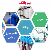 بیوبانک