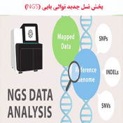 بخش نسل جدید توالی یابی (NGS)